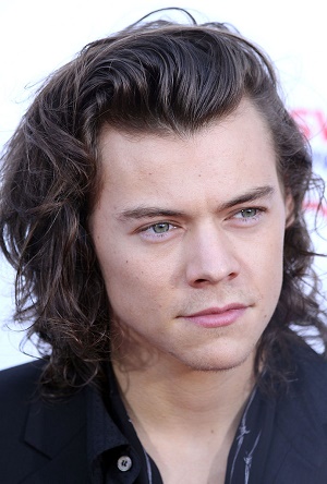 Harry Styles hair loss charity