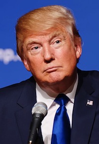 Donald Trump proves it's not a wig
