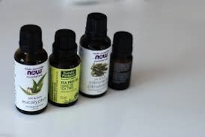 tea tree oil for hair loss - does it work?